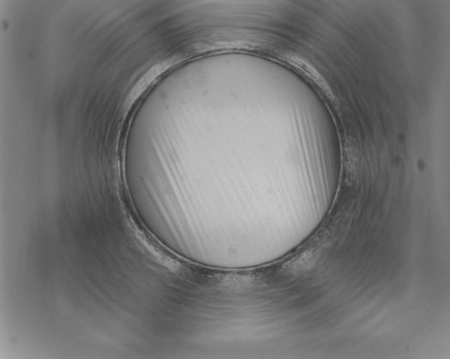 X0000069830890200606021333