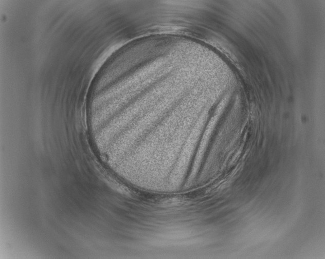 X0000069830891200606021333