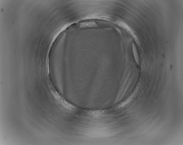 X0000069830892200606021333