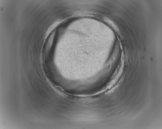 X0000069830893200606021333