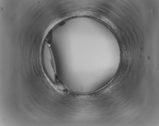 X0000069830894200606021333