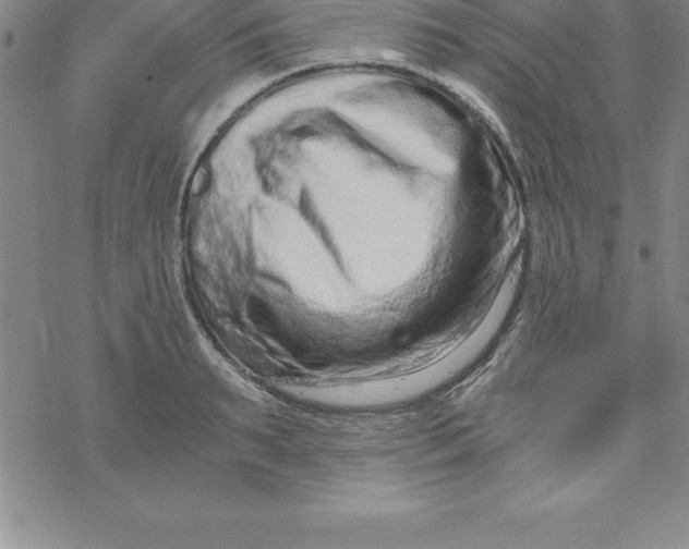 X0000069830895200606021333