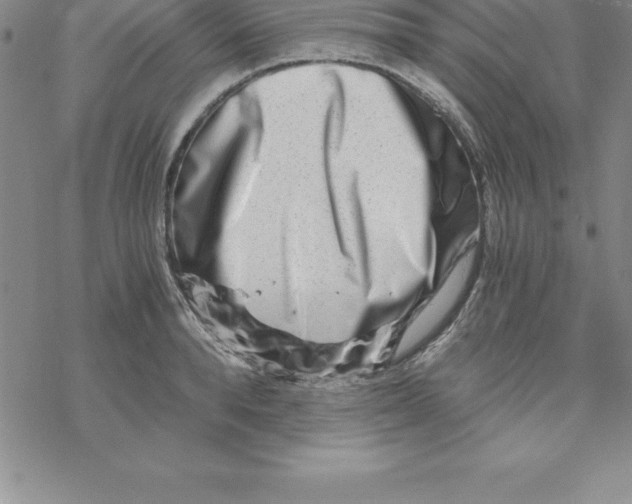 X0000069830896200606021333