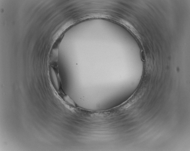 X0000069830898200606021333