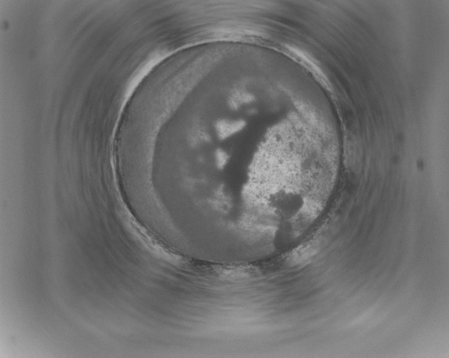 X0000069830899200606021333