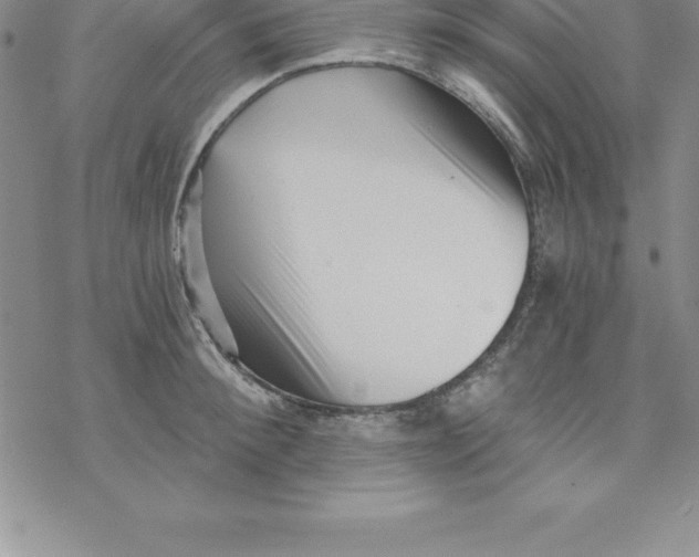 X0000069830900200606021333