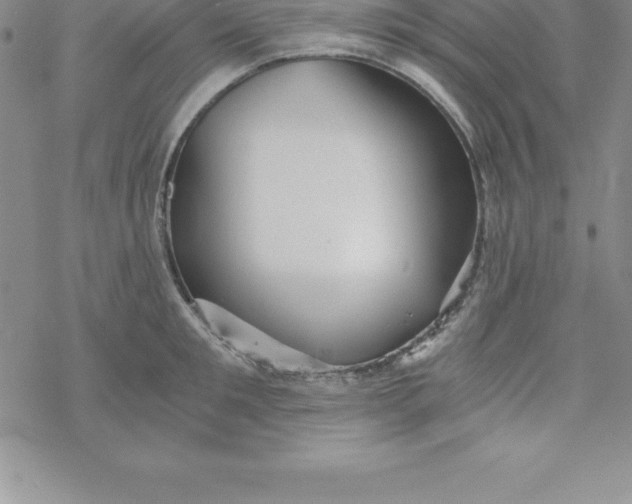 X0000069830901200606021333