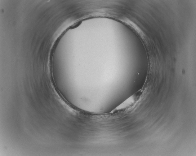 X0000069830902200606021333