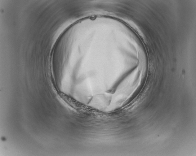 X0000069830903200606021333