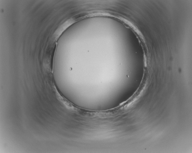 X0000069830905200606021333