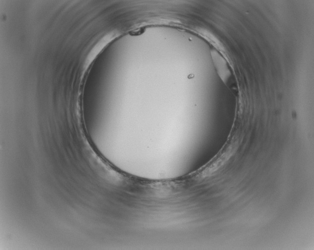 X0000069830906200606021333