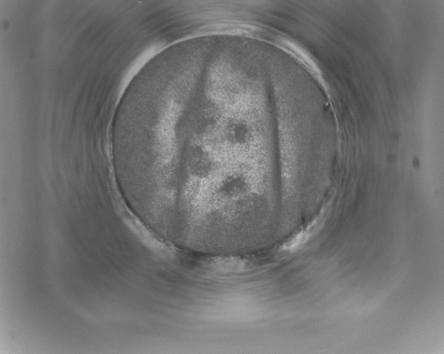 X0000069830907200606021333