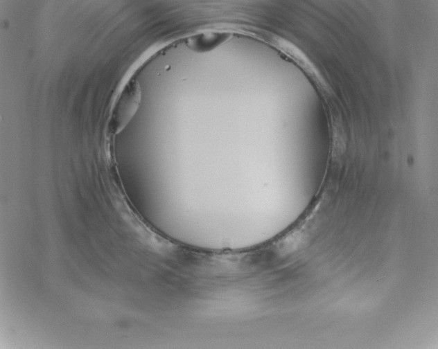 X0000069830908200606021333