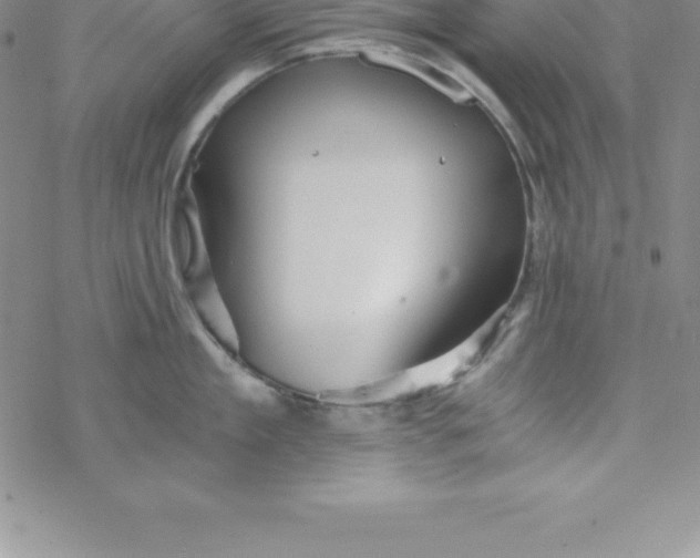 X0000069830909200606021333