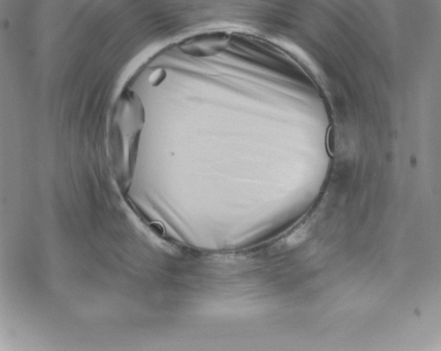 X0000069830910200606021333