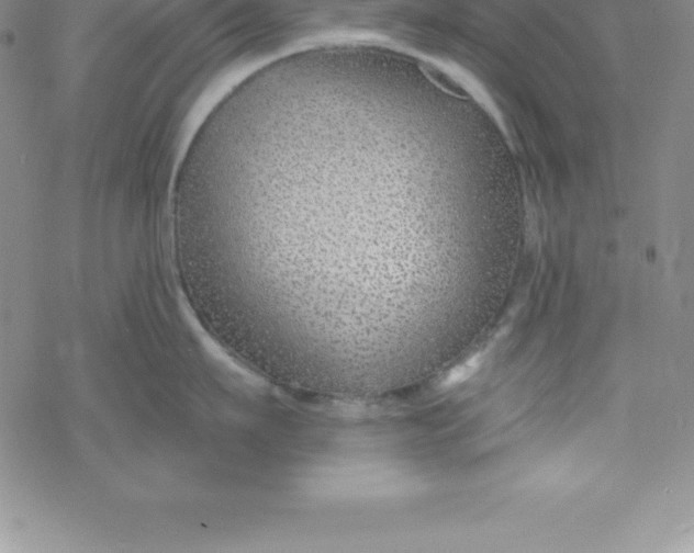 X0000069830911200606021333