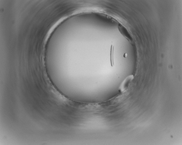 X0000069830912200606021333