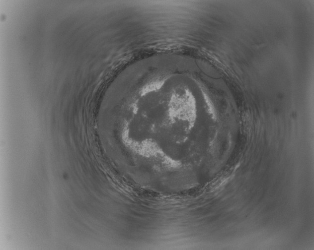 X0000069830913200606021332