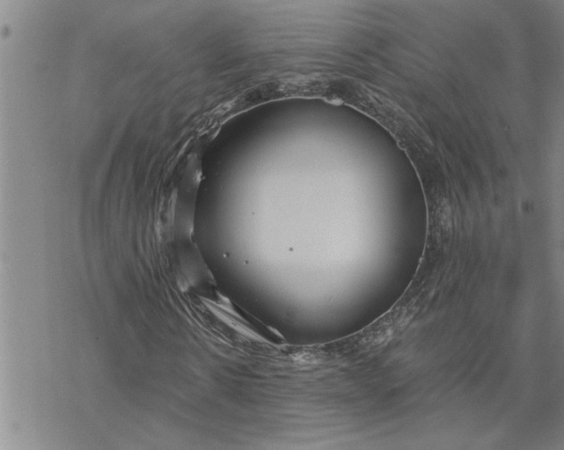 X0000069830914200606021332