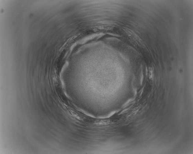 X0000069830915200606021332