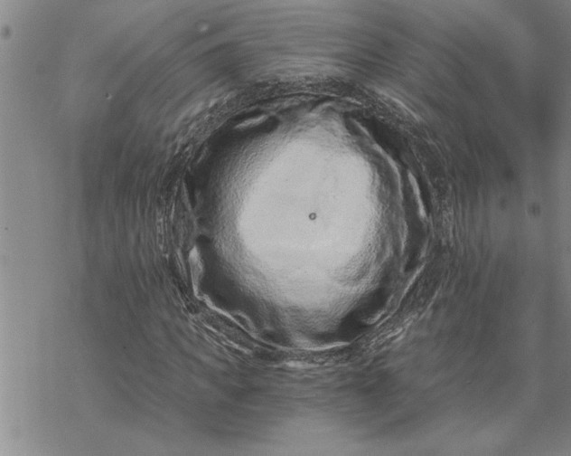 X0000069830917200606021332