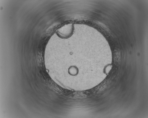 X0000069830918200606021332