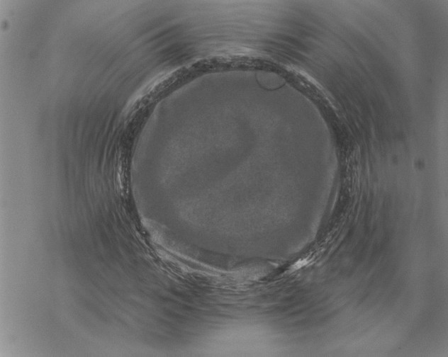 X0000069830919200606021332