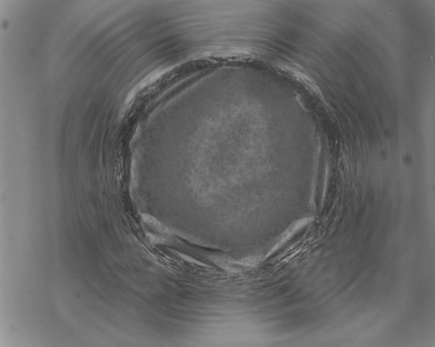 X0000069830920200606021332