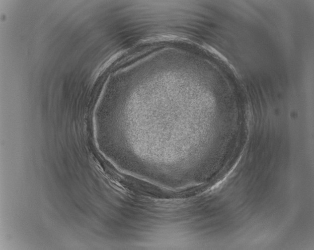 X0000069830921200606021332