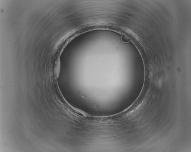 X0000069830922200606021332