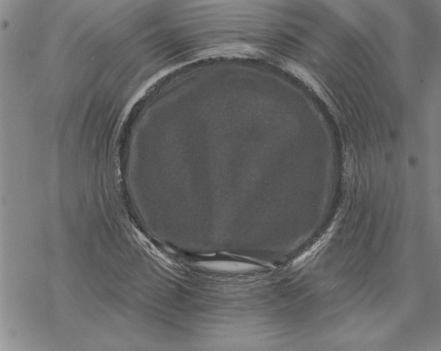 X0000069830923200606021332