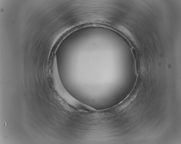 X0000069830924200606021333