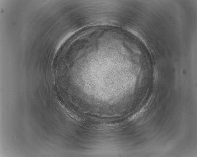 X0000069830925200606021333