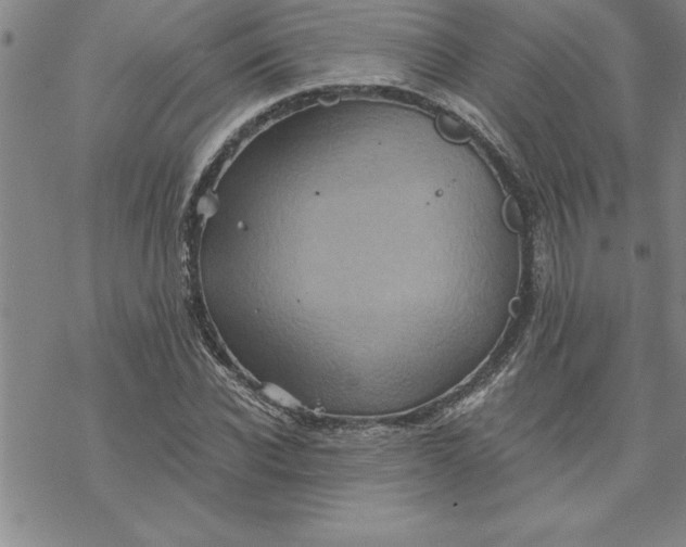 X0000069830926200606021333