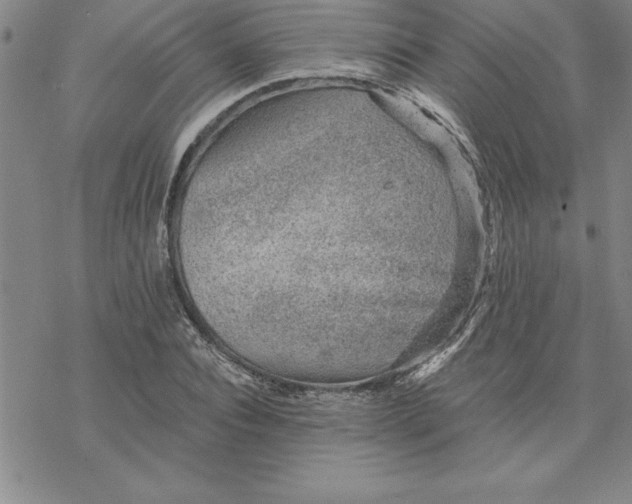 X0000069830928200606021333