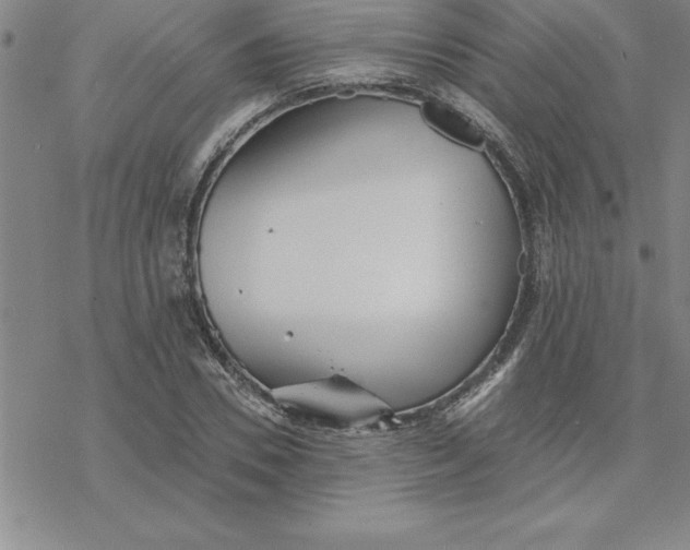 X0000069830930200606021333