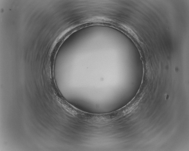 X0000069830931200606021333