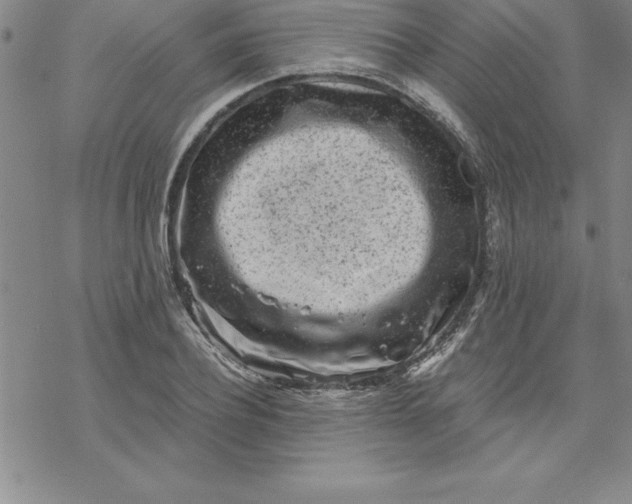 X0000069830932200606021333