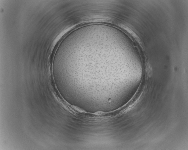 X0000069830933200606021333