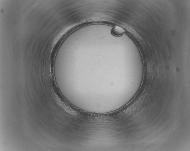 X0000069830934200606021333