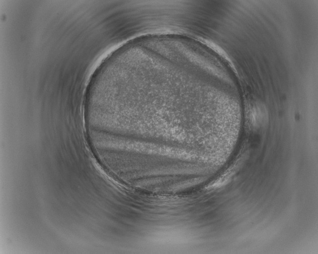 X0000069830935200606021333