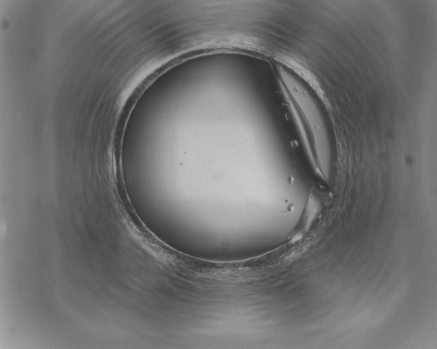 X0000069830936200606021333