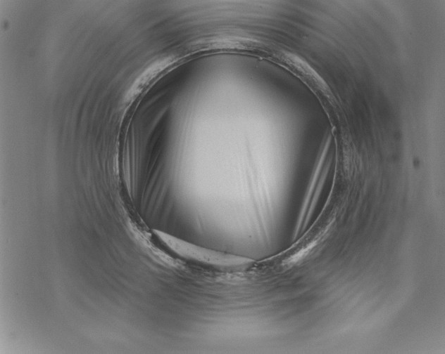 X0000069830938200606021333