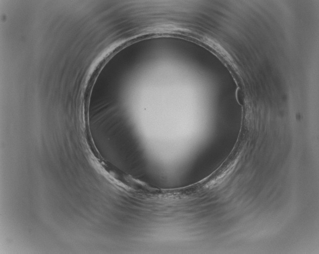 X0000069830939200606021333