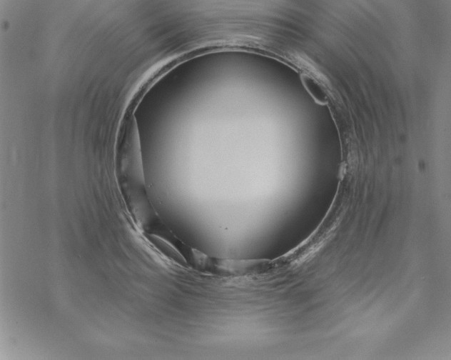 X0000069830940200606021333