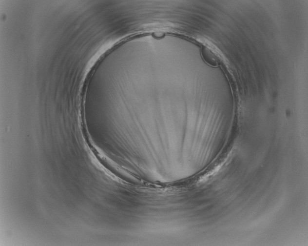 X0000069830941200606021333