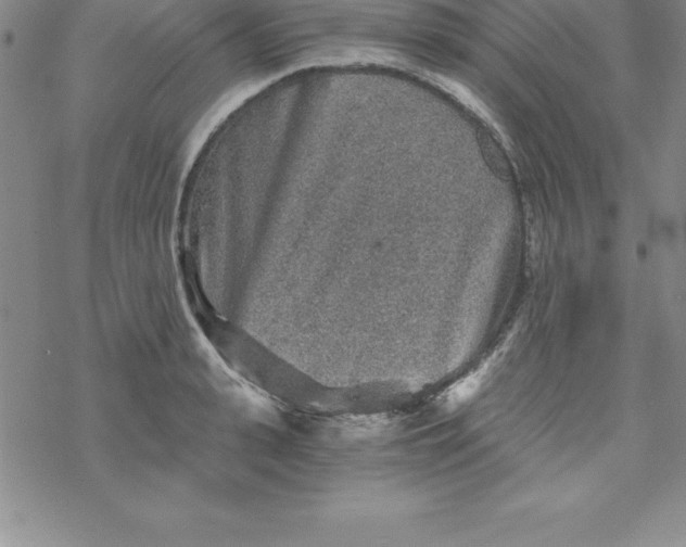 X0000069830943200606021333