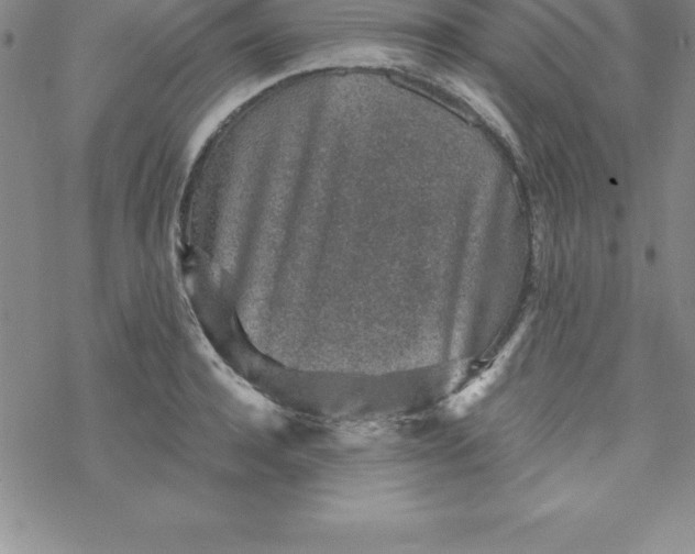 X0000069830944200606021333