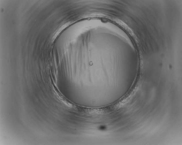 X0000069830945200606021333