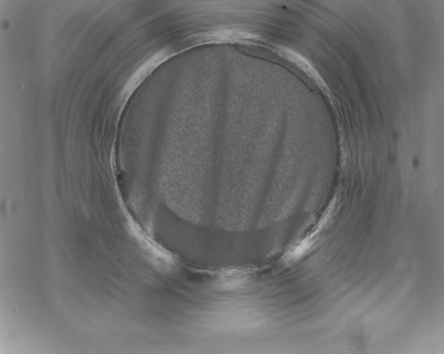 X0000069830946200606021333